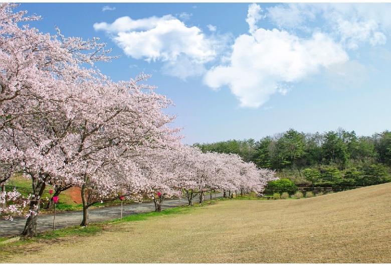 柳田植物公園