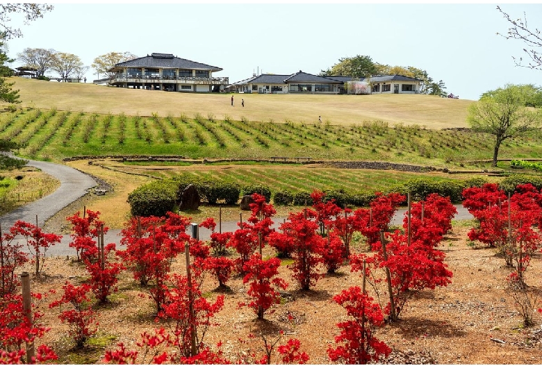 柳田植物公園