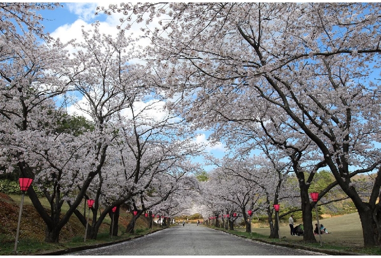 柳田植物公園