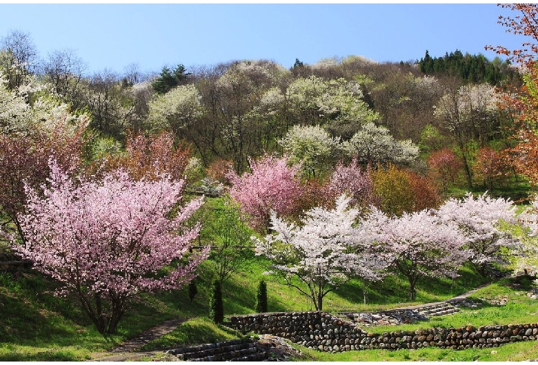 東山夢の郷公園（夢農場）