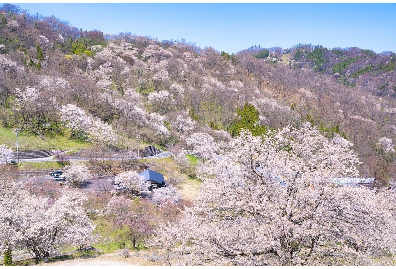 東山夢の郷公園（夢農場）