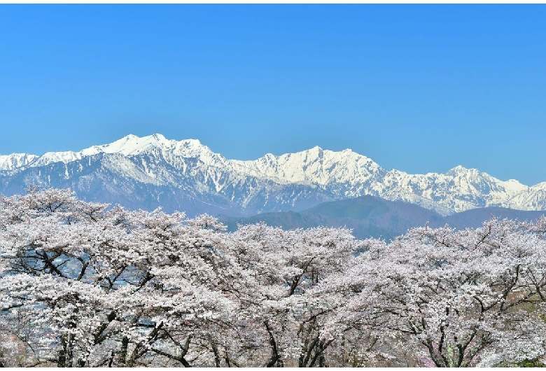 大町公園