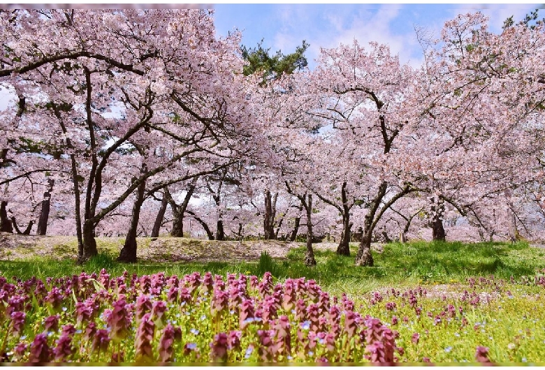 松本市城山公園