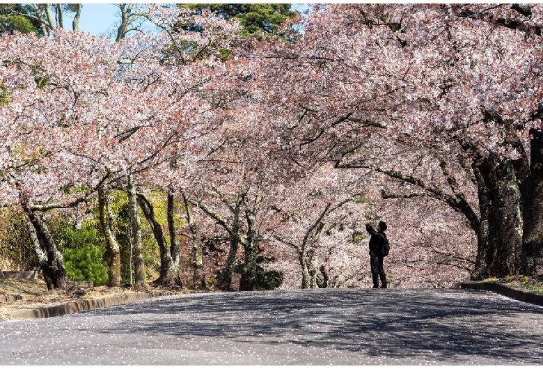 松本市城山公園