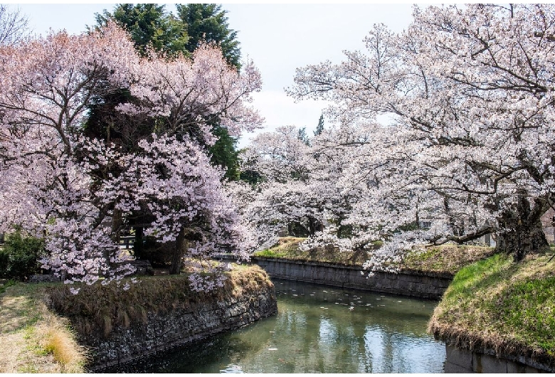 龍岡城