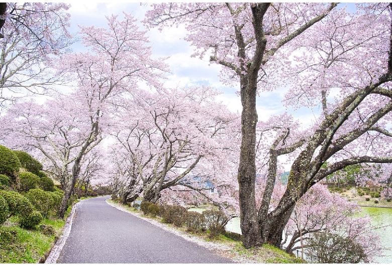 荒神山スポーツ公園