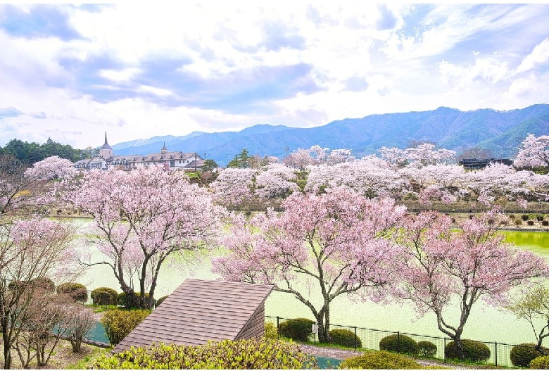 荒神山スポーツ公園