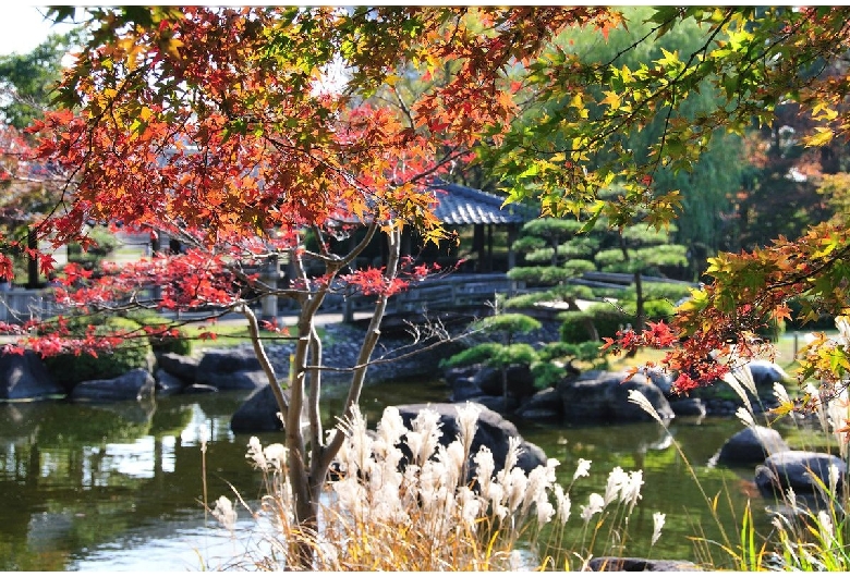 鳥屋野潟公園