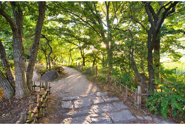 鳥屋野潟公園