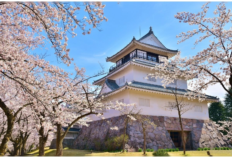 悠久山公園