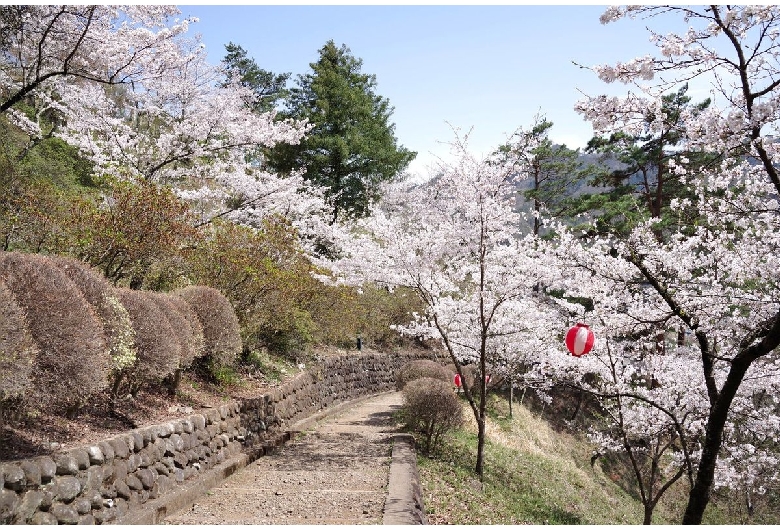 岩殿山丸山公園