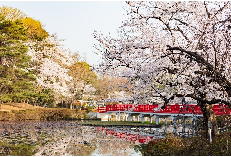 岩槻城址公園