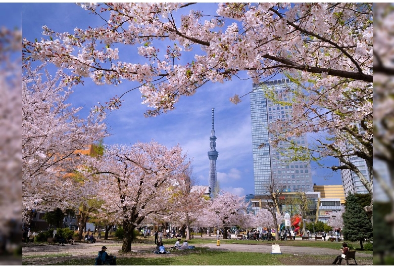 錦糸公園