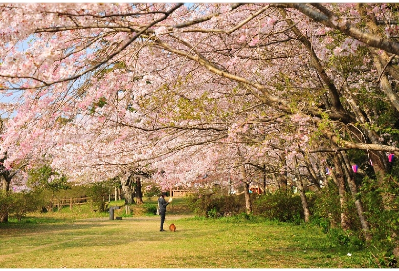 小見川城山公園