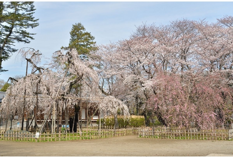 弘法寺