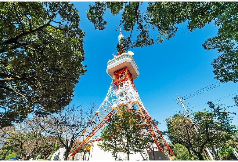 八幡山公園