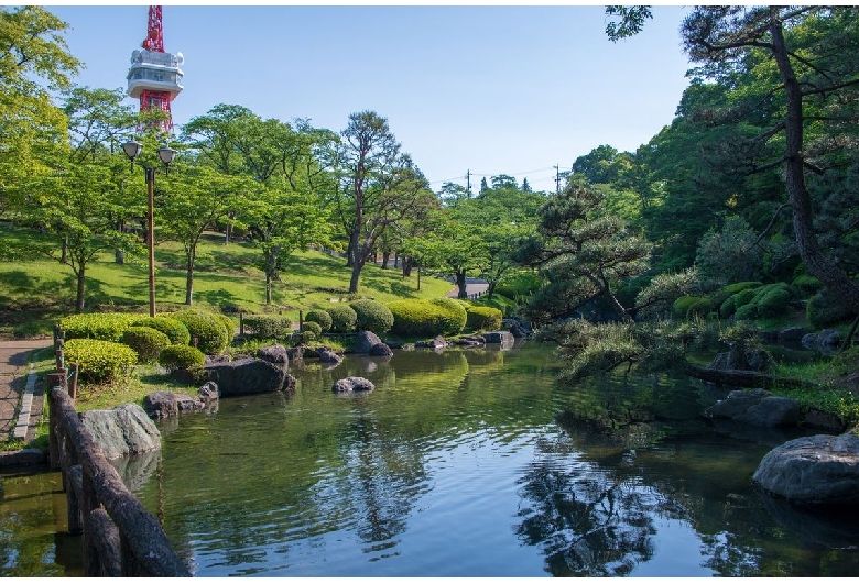 八幡山公園