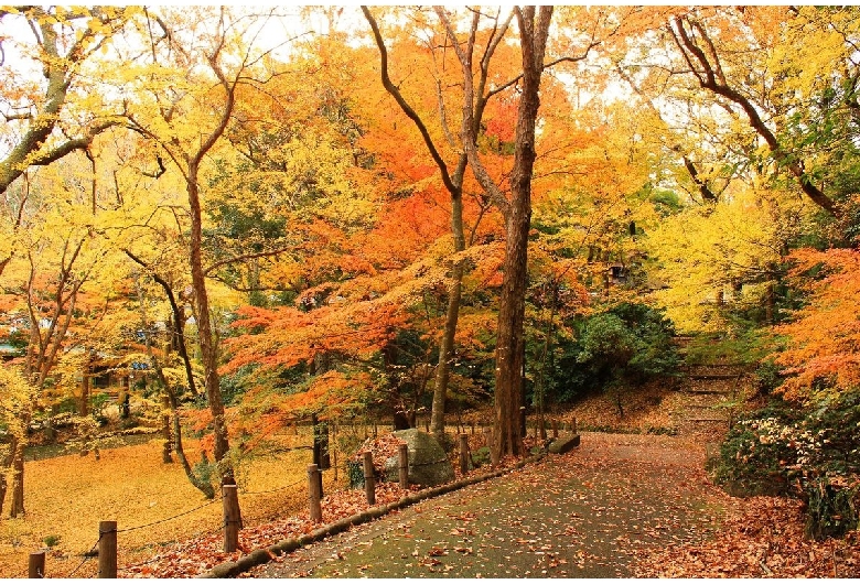 成田山公園