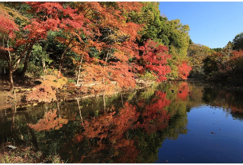 泉自然公園