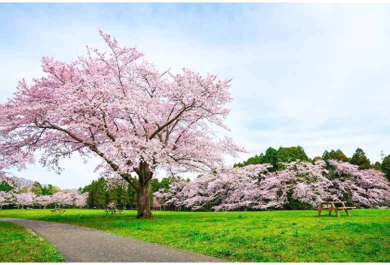 泉自然公園