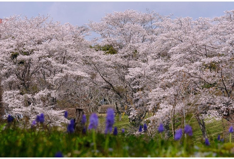 静峰ふるさと公園