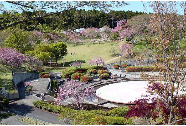 城山公園