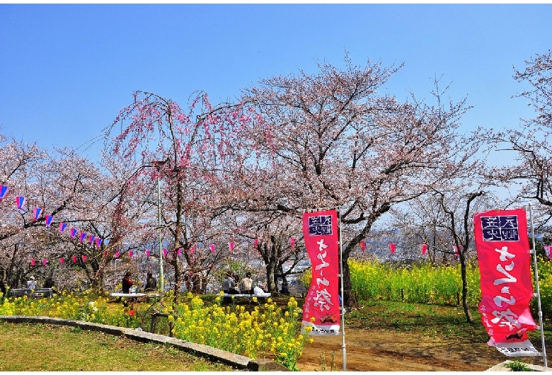 衣笠山公園