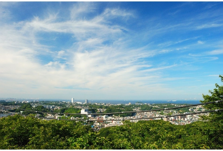 衣笠山公園