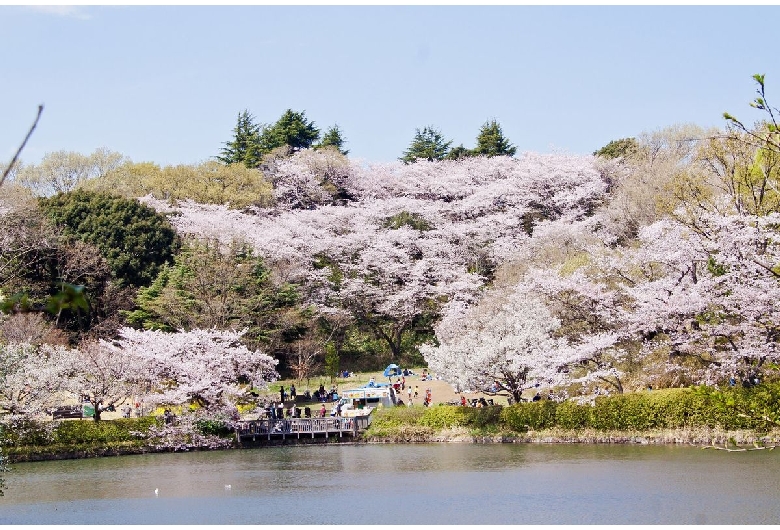 三ツ池公園