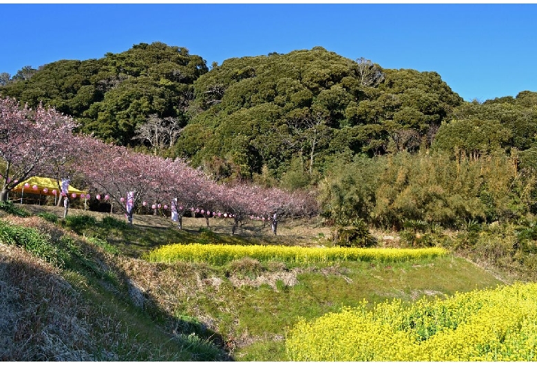 抱湖園