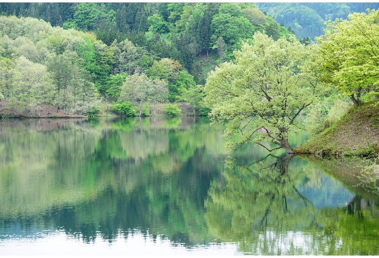 八塩いこいの森