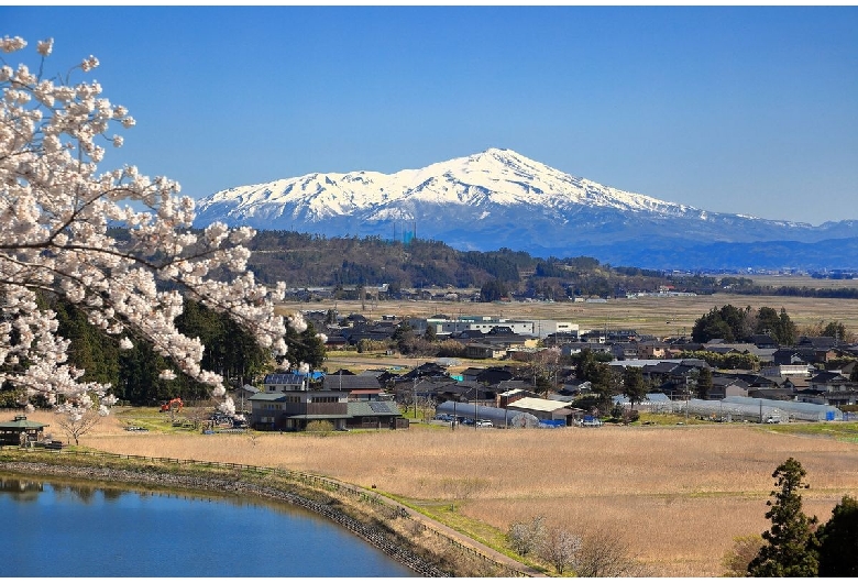 大山公園