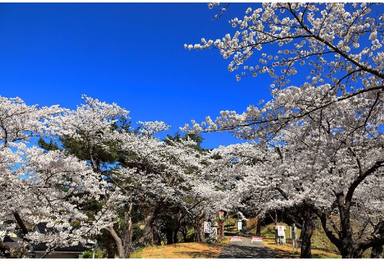 大山公園