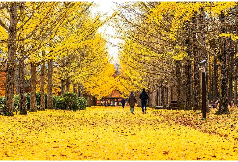 山形県総合運動公園