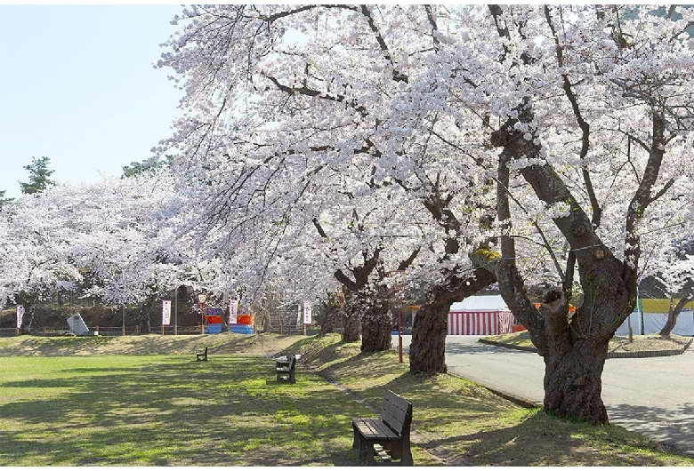 真人公園