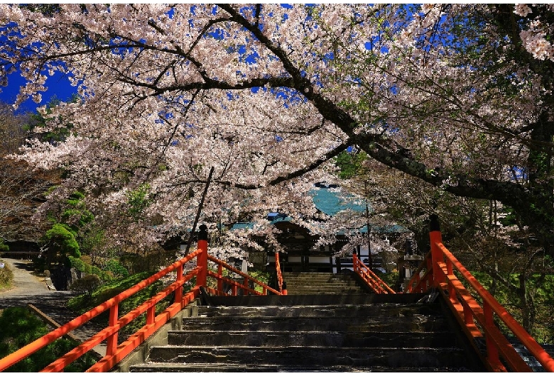 福泉寺