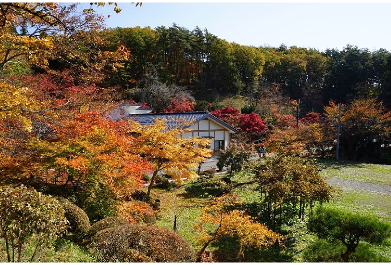 福泉寺