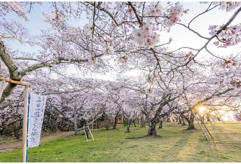 三神峯公園