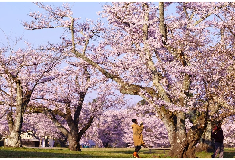 三神峯公園