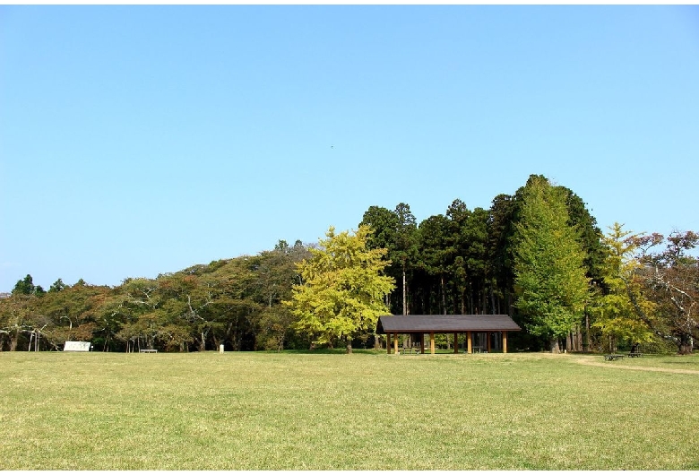 三神峯公園