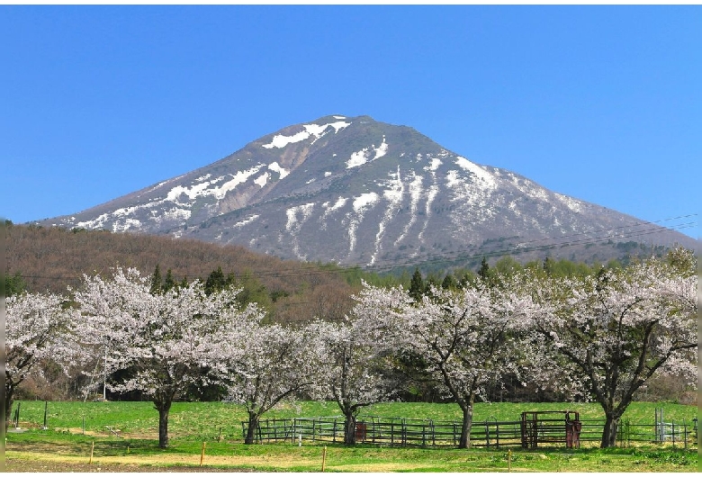 猪苗代町営磐梯山牧場