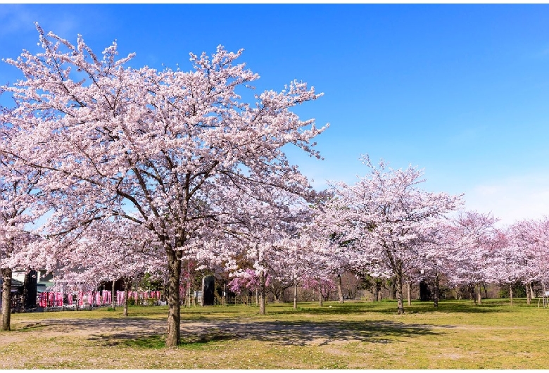 西公園