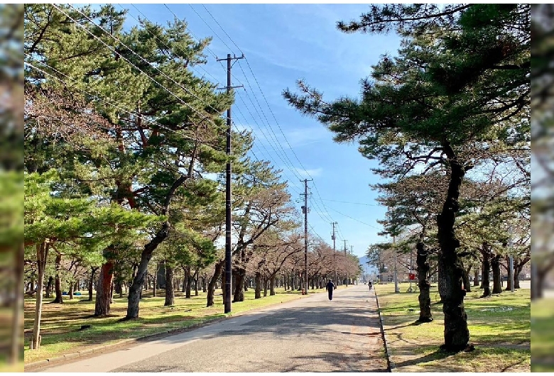 合浦公園