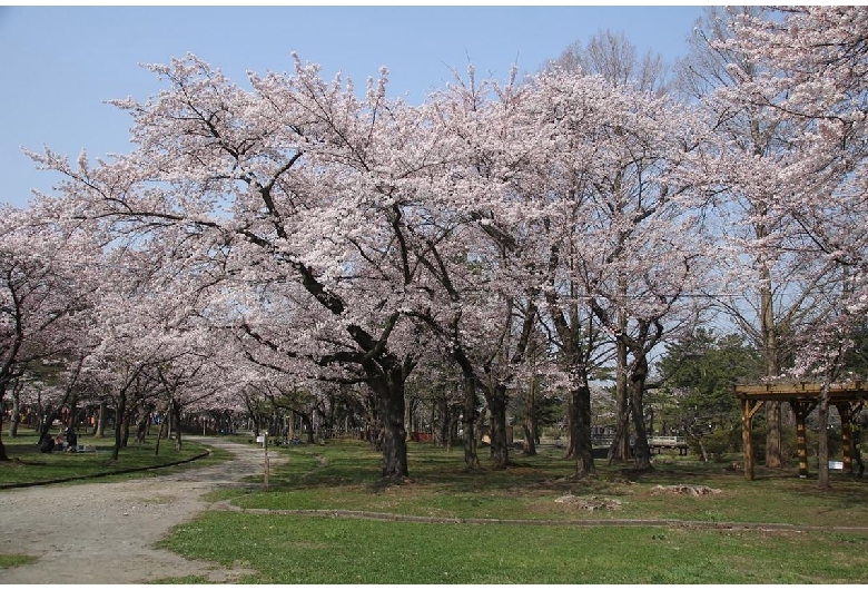 合浦公園