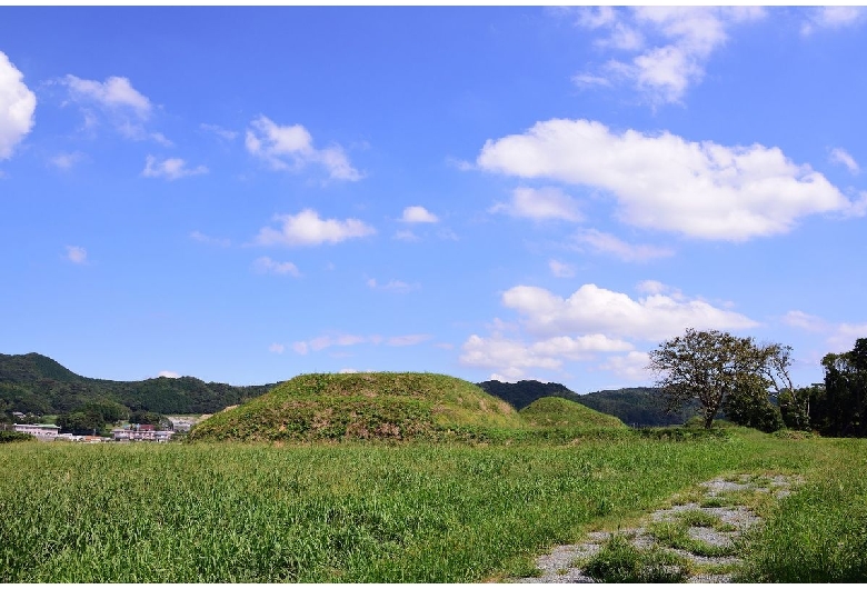 新原・奴山古墳群