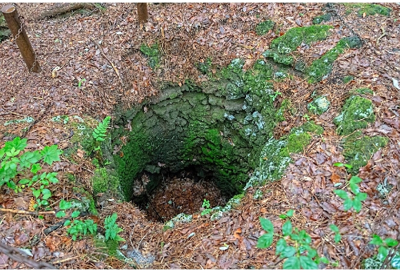 鳴沢熔岩樹型