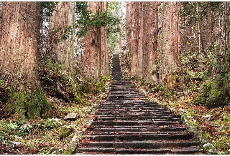 羽黒山杉並木