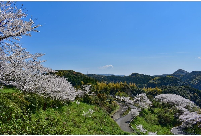 高尾山公園（いろは島）