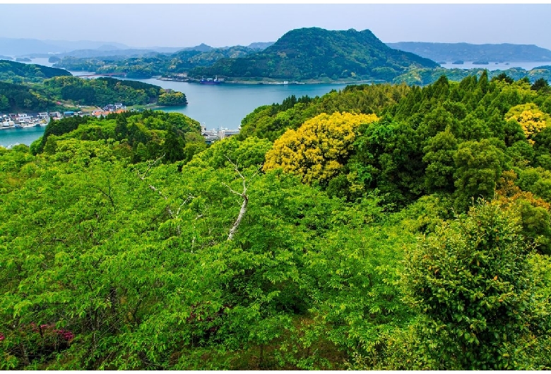 高尾山公園（いろは島）