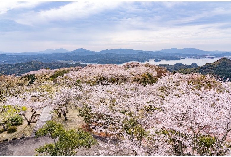 大山公園（いろは島）